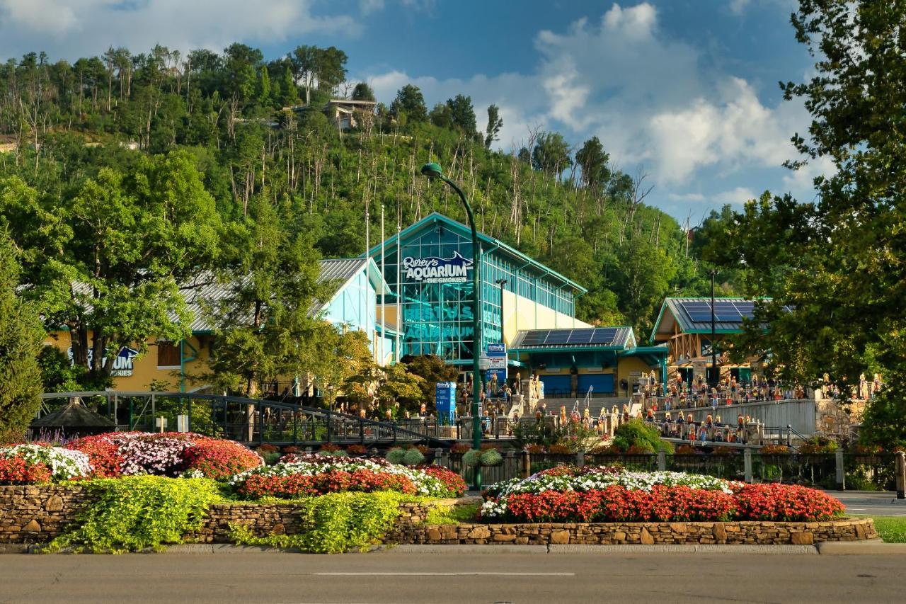 Lazy Bear Den Villa Sevierville Ngoại thất bức ảnh